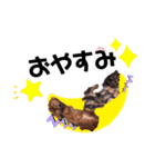 クリスちゃん,レイちゃん by晩ママ（個別スタンプ：4）
