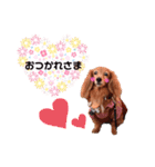 クリスちゃん,レイちゃん by晩ママ（個別スタンプ：5）