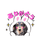 クリスちゃん,レイちゃん by晩ママ（個別スタンプ：6）