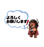 クリスちゃん,レイちゃん by晩ママ（個別スタンプ：9）