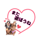 クリスちゃん,レイちゃん by晩ママ（個別スタンプ：12）