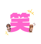 クリスちゃん,レイちゃん by晩ママ（個別スタンプ：13）