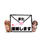 クリスちゃん,レイちゃん by晩ママ（個別スタンプ：16）