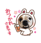 ブルドッグの笑ちゃん③（個別スタンプ：6）