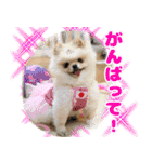 ミルキーの気持ち Ver.3（個別スタンプ：5）