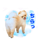 ミルキーの気持ち Ver.3（個別スタンプ：8）