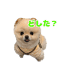 ミルキーの気持ち Ver.3（個別スタンプ：10）