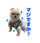 ミルキーの気持ち Ver.3（個別スタンプ：11）