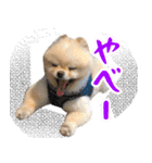 ミルキーの気持ち Ver.3（個別スタンプ：12）