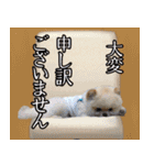 ミルキーの気持ち Ver.3（個別スタンプ：13）