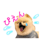 ミルキーの気持ち Ver.3（個別スタンプ：14）