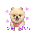 ミルキーの気持ち Ver.3（個別スタンプ：16）