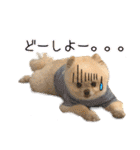 ミルキーの気持ち Ver.3（個別スタンプ：19）