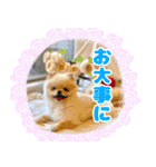 ミルキーの気持ち Ver.3（個別スタンプ：20）