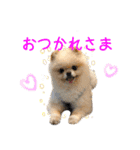 ミルキーの気持ち Ver.3（個別スタンプ：21）