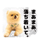 ミルキーの気持ち Ver.3（個別スタンプ：22）