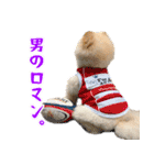 ミルキーの気持ち Ver.3（個別スタンプ：23）