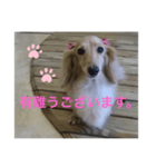 Tiffany chan挨拶（個別スタンプ：1）