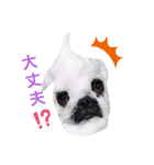 ぶさかわ梅子（個別スタンプ：14）