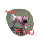 ぶさかわ梅子（個別スタンプ：16）