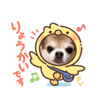 taffyちゃん（個別スタンプ：1）