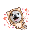 taffyちゃん（個別スタンプ：2）
