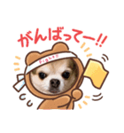taffyちゃん（個別スタンプ：5）