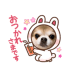taffyちゃん（個別スタンプ：6）