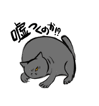ネコォLINEスタンプ2（個別スタンプ：1）