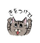 ネコォLINEスタンプ2（個別スタンプ：2）