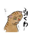 ネコォLINEスタンプ2（個別スタンプ：3）