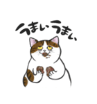 ネコォLINEスタンプ2（個別スタンプ：5）