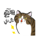 ネコォLINEスタンプ2（個別スタンプ：7）