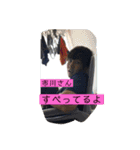 髪があるうちにスタンプにしとくスタンプ③（個別スタンプ：1）