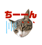 ごえもん日和 7（個別スタンプ：5）