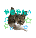 ごえもん日和 7（個別スタンプ：7）