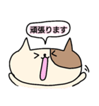 ねこねこ敬語（個別スタンプ：23）