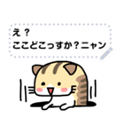 かわいい猫たちのメッセージスタンプVol1（個別スタンプ：10）