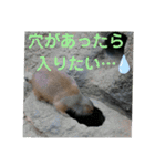 動物まみれ（個別スタンプ：14）