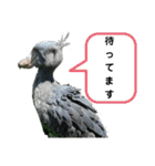 動物まみれ（個別スタンプ：38）