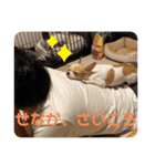ちびちゃい（個別スタンプ：7）