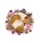 ちびちゃい（個別スタンプ：9）