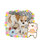 ちびちゃい（個別スタンプ：10）