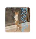 ちびちゃい（個別スタンプ：13）
