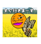 ボブ兄さん（個別スタンプ：2）