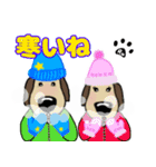 犬のじょんこ  家族との1年（個別スタンプ：19）