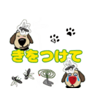 犬のじょんこ  家族との1年（個別スタンプ：32）