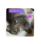 zeroの毎日2（個別スタンプ：1）
