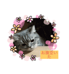 zeroの毎日2（個別スタンプ：2）