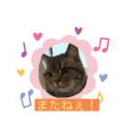 zeroの毎日2（個別スタンプ：7）